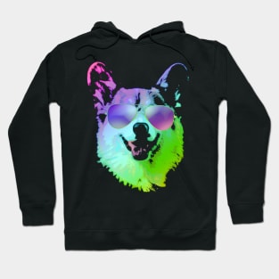 Cool Corgi With Sunglasses Hoodie